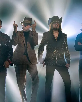 The Mavericks