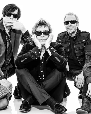 The Psychedelic Furs Houston